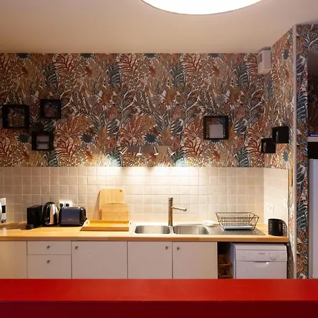 Le 17 De Stanislas Apartment Nancy